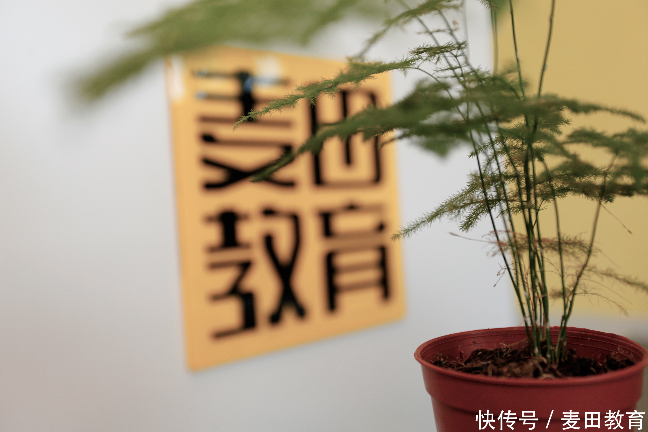 高考理科生可以报考哪些专业?家长及学生应该