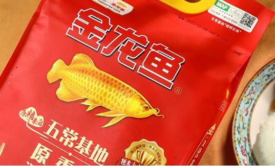 魚缸里黑色蟲子是什么(魚缸里黑色的蟲子是什么) 祥龍傳奇品牌魚缸