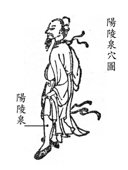 阳陵泉最笨找法 360搜索