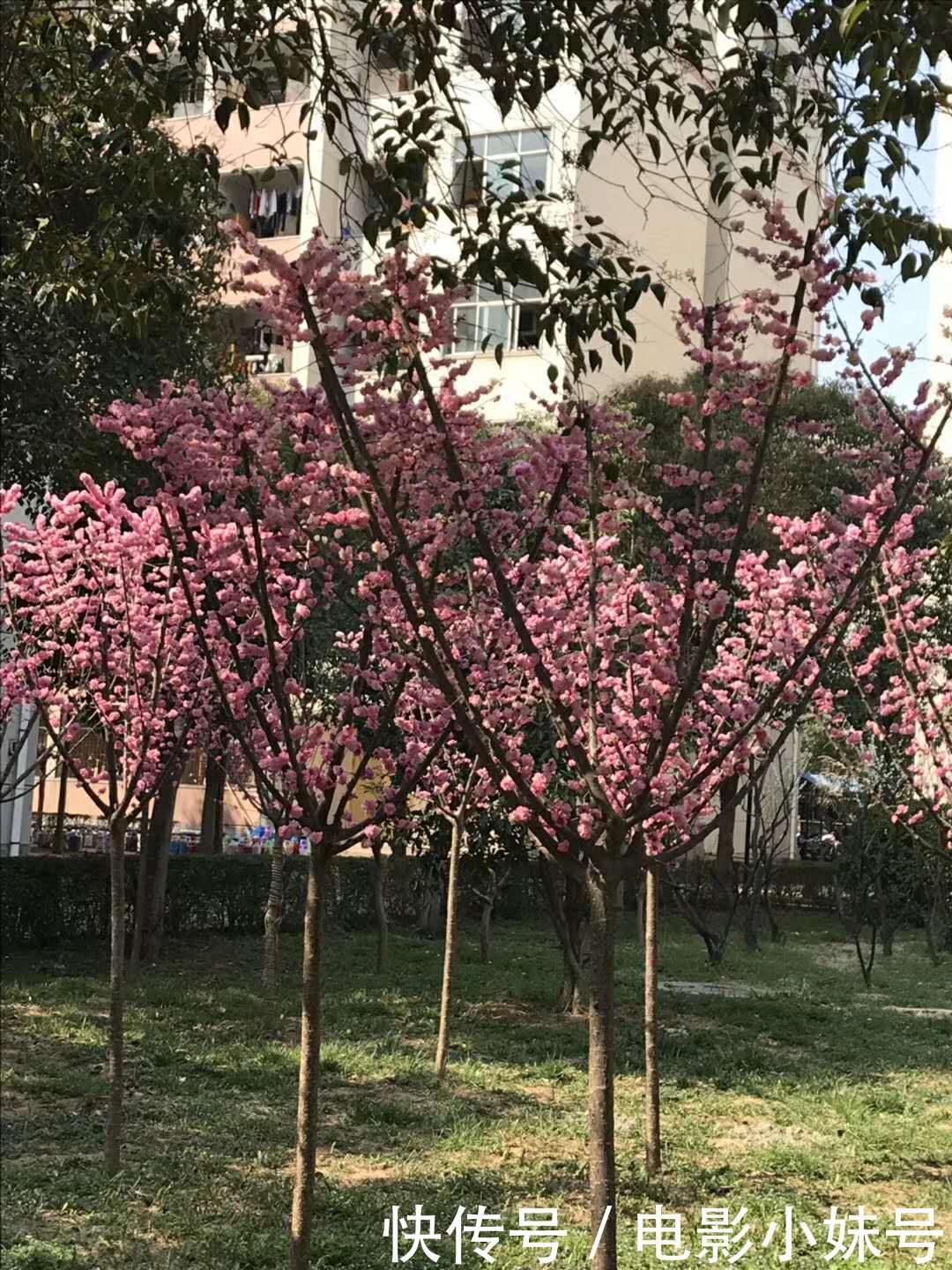 《厉害了我的国》观后感