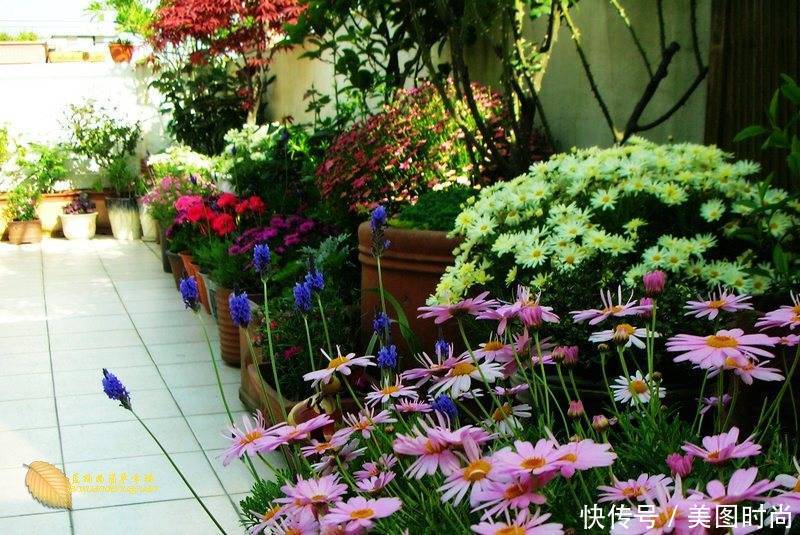 有个“露台花园”折腾,真好!此景此情,喝茶,看书 太惬意啦!