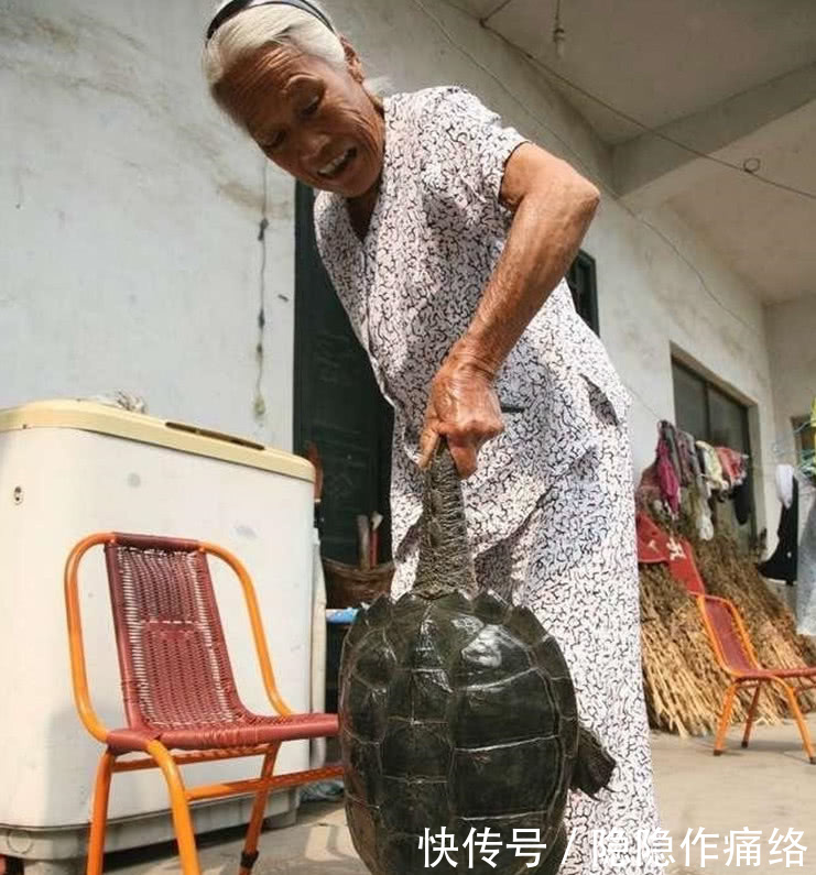 大娘抓到百年老龟,以为值钱去卖却被告知还是