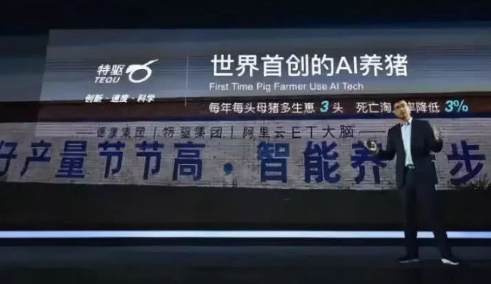 丁磊、马云、刘强东纷纷爱上养猪,来猜猜什么