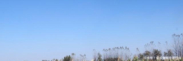 姑娘跨省嫁安徽小伙搞种植,十几亩黄豆绝收,如