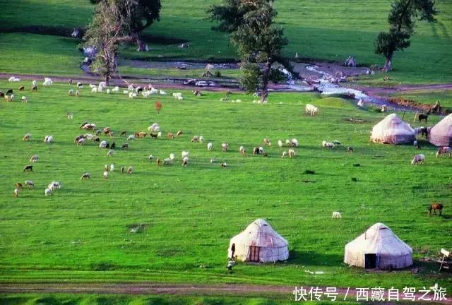 巩乃斯大草原，天山深处的“伊甸园”，一年四季都美得惊人！