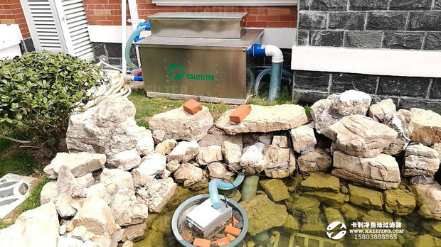 自建鱼池,无过滤,要净水去绿缲,用什么净水_36