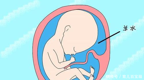 孕期胎儿缺氧的几大症状,孕妈们要注意了!