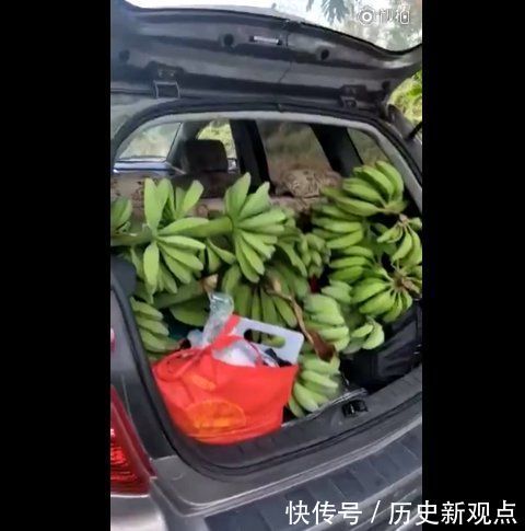 黑龙江游客广西偷香蕉事件,造谣挑拨地域矛盾