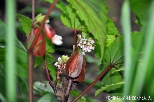 劳动合同法实施细则