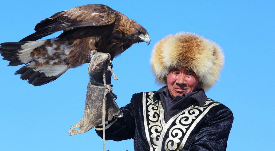 老鹰和雕长得都差不多,到底有什么差别呢?说出