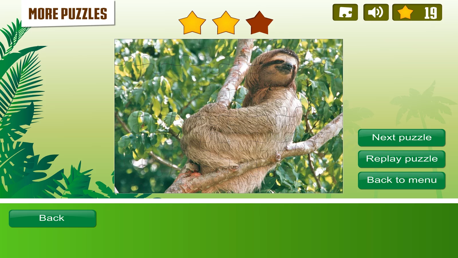 Rainforest Animals Puzzle截图14