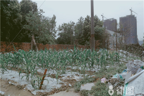 北京别墅拆迁(北京别墅拆迁案例分析)