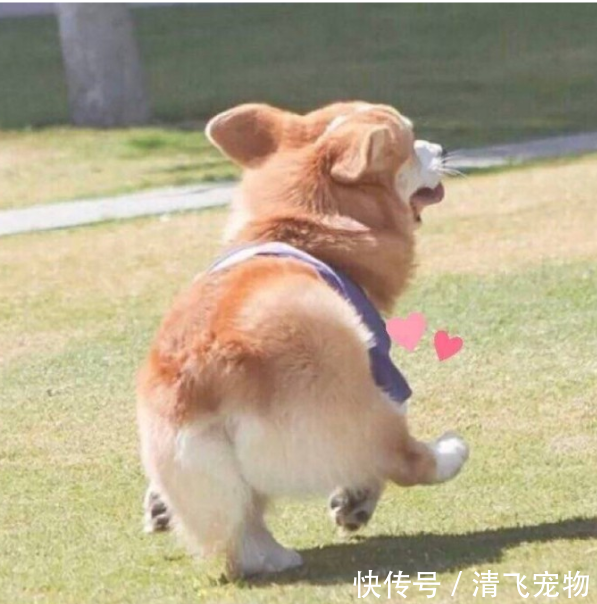t0135eb1526a4d4a534.png