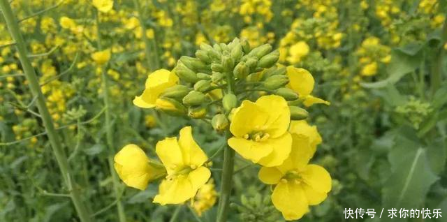 厉害了,河南这5个县市区被教育部点名,未来发展要逆天!