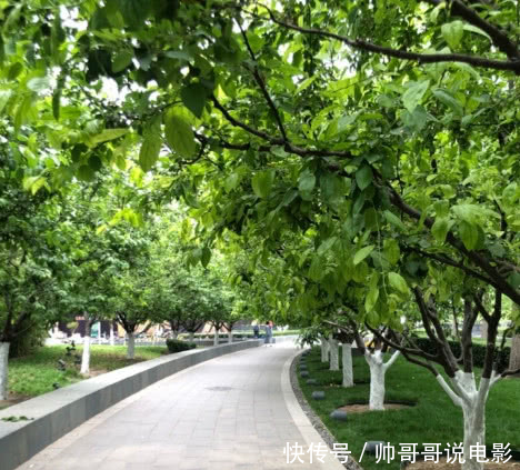 制片人发文被质问《如懿传》何时开播,导演一