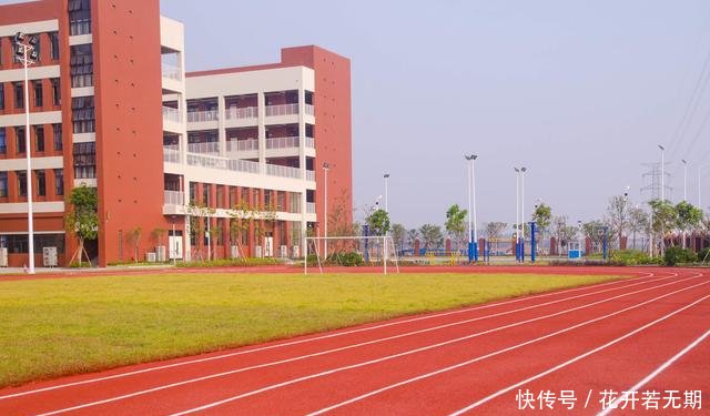 如何评价正副校长学校挖矿致校园网瘫痪?以权