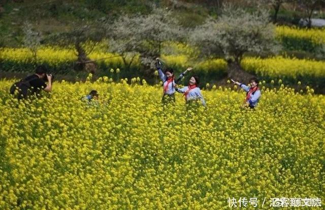 嘉阳蒸汽小火车,坐上去就开往春天
