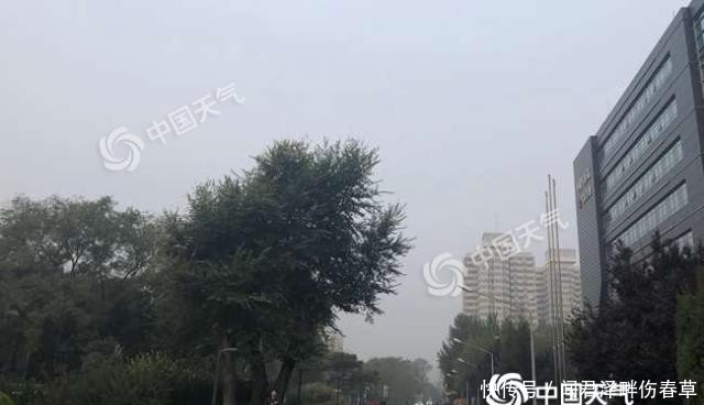 t013876dcf8ecf9c443.jpg?size=640x368