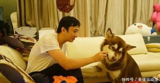 王思聪到底有多土豪,玩游戏充了一次钱,服务器