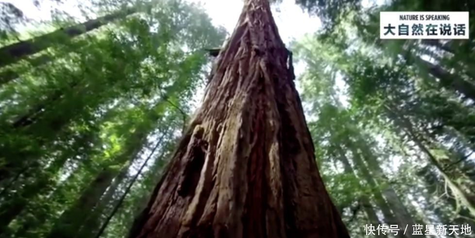 t0138acb0aaff260114.jpg?size=978x490