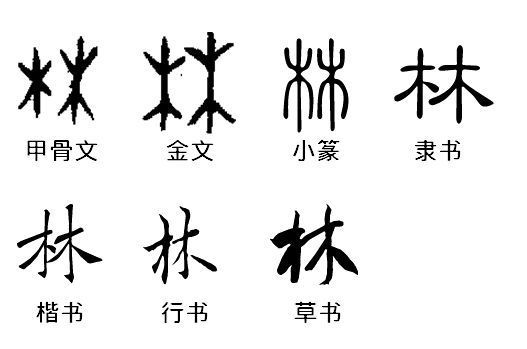 隶书林怎么写