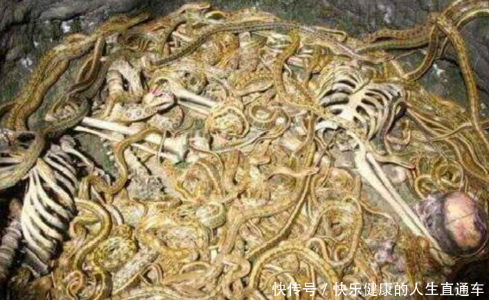 古代女囚犯们最害怕的“虎豹嬉春”，究竟是个啥样的酷刑？