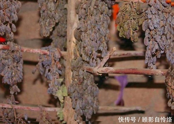 原来我们吃了十几年的葡萄干，吃的都是土，知道真相后想打人