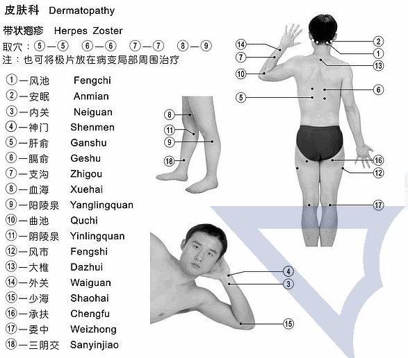 揉这个穴位相当于吃六味地黄丸 - 爱。很烂 - 心雨博客