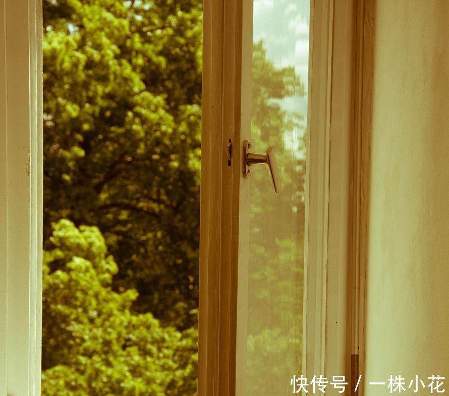 算命的说财运一流的是这3个生肖! 澳门老葡京官