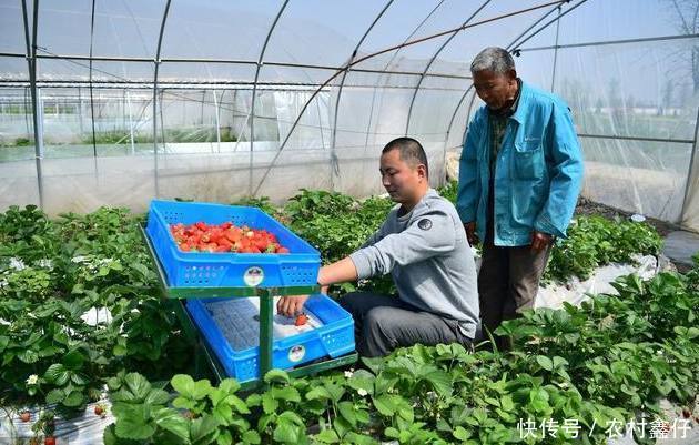 来农村最值钱的是什么?不是土地也不是房屋,而是这些东西