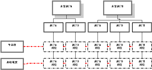 矩阵组织结构