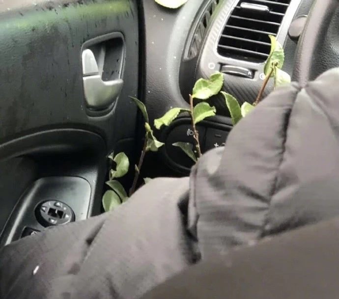 人命关天,奥迪车主患白血病,小心车内挥发性有