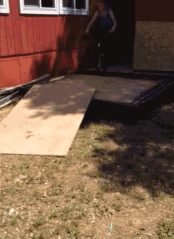 内涵段子:赶快查查你家小白菜吧,是不是被那只猪拱了?