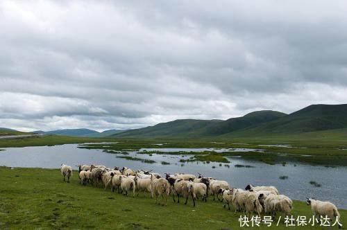 灵活就业医保要交几年