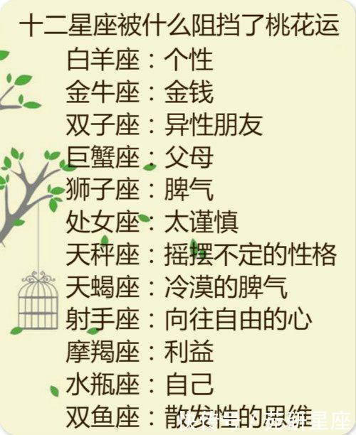十二星座被什么阻挡了桃花运,水瓶座居然是自