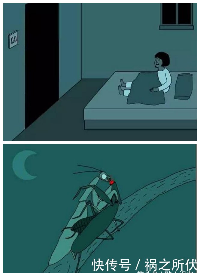 搞笑漫画:给孩子一个充满悬念的童年,坑图片的动画表情的牛孩子包图片