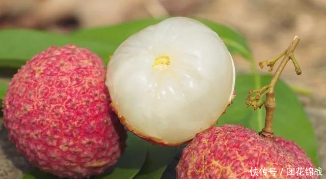 无荔枝,不夏天!一起pk甜蜜滋味,中国到底哪里的