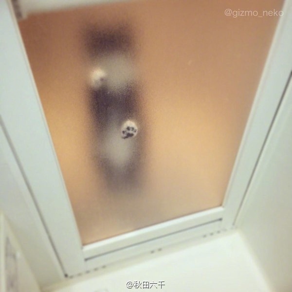 你和恐怖大片之间只差了一块毛玻璃