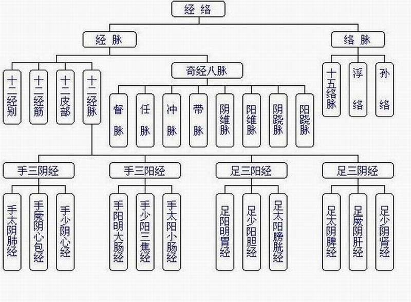 将人体内外连贯起来. 成为一个有机的整体.  经络分:经脉和络脉.