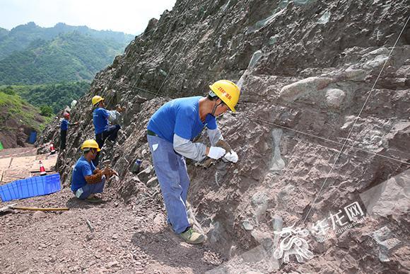 记者深入云阳普安恐龙化石现场:群龙为何在此沉眠?