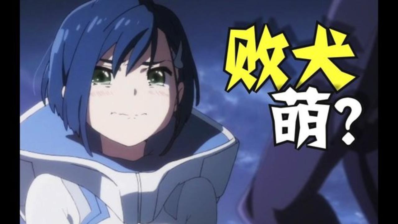 【动漫败犬集锦】莓良心?浅谈党争中的萌系败犬文化!