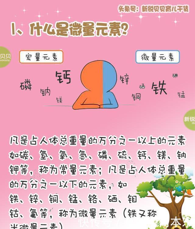t014aeb8bcd28a8488c.jpg