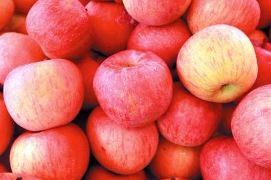 t014aff164648a46c51.jpg?size=530x353