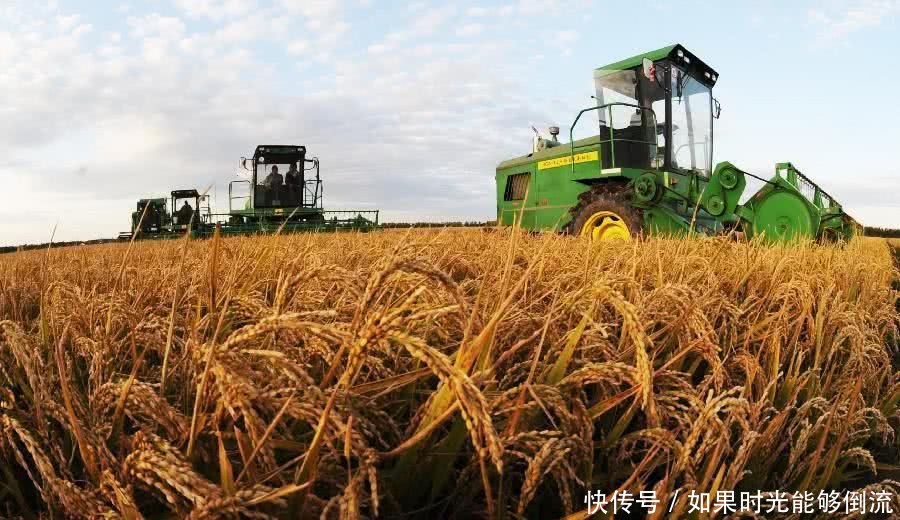 t014c559d2bf0a20375.jpg?size=900x520