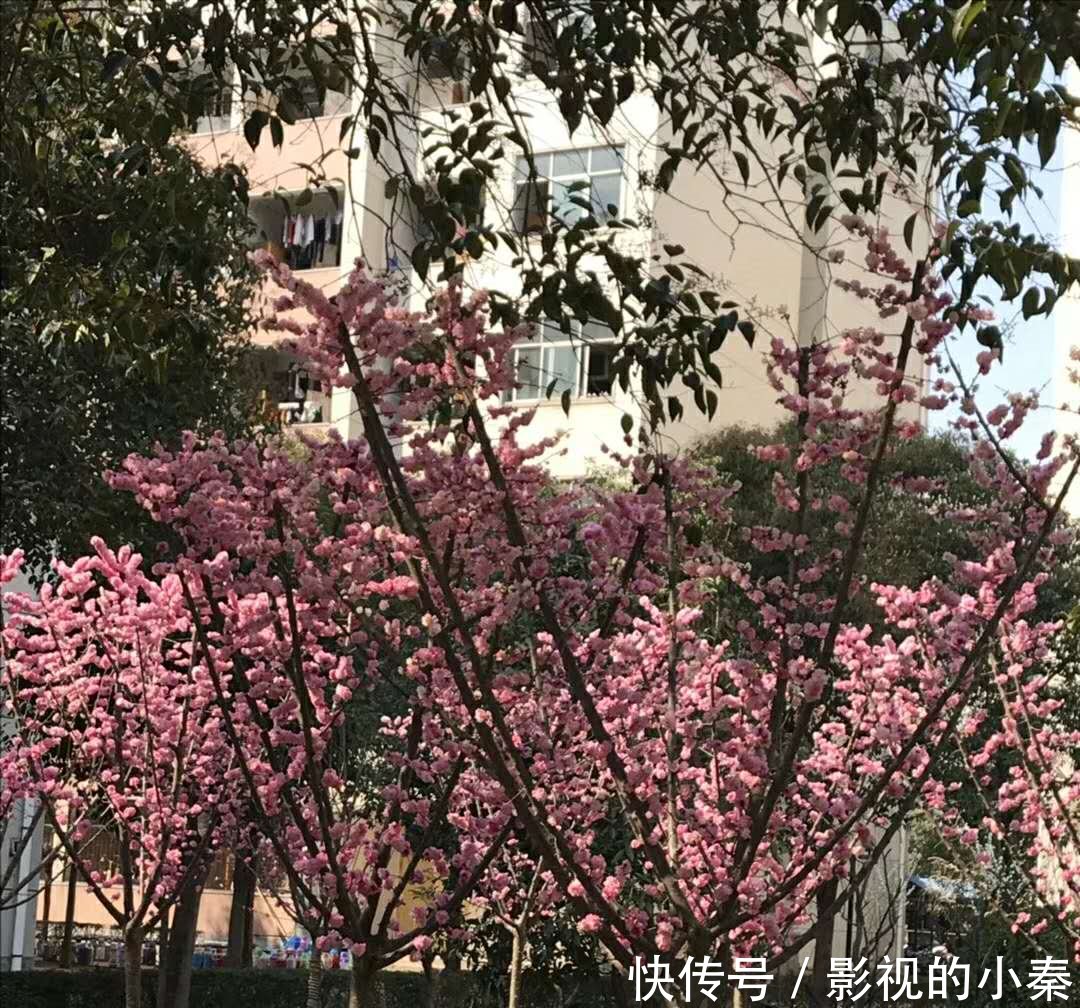 《厉害了我的国》观后感