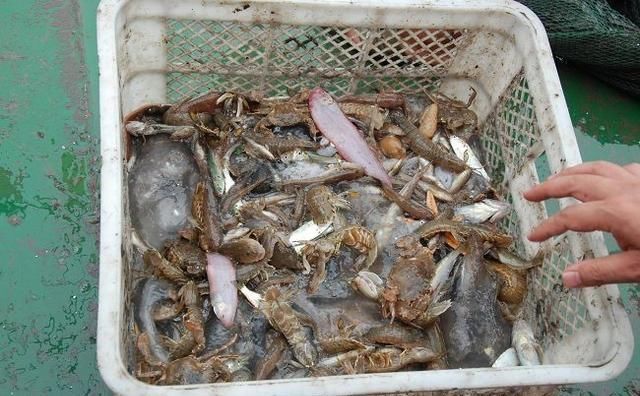 2019年清明小长假,北京周边自驾游线路推荐