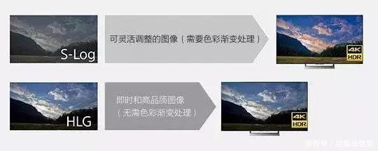 5年磨一剑,索尼如何一步一步打造出爆款全画幅