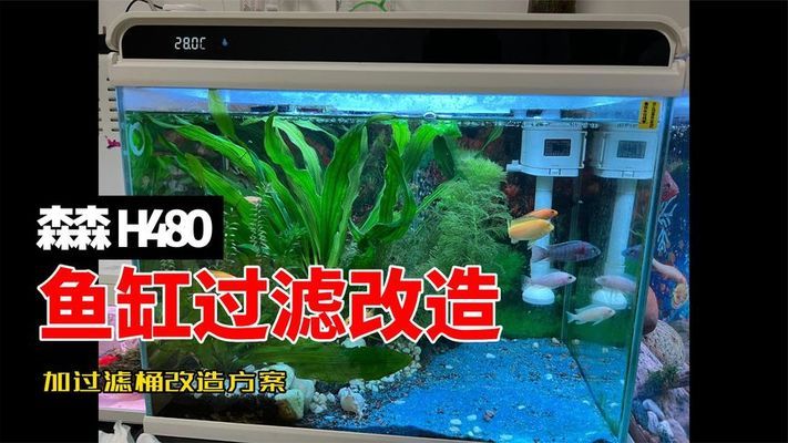 魚缸過濾器放水里就不吐水（魚缸過濾器放水里就不吐水了） 其他品牌魚缸