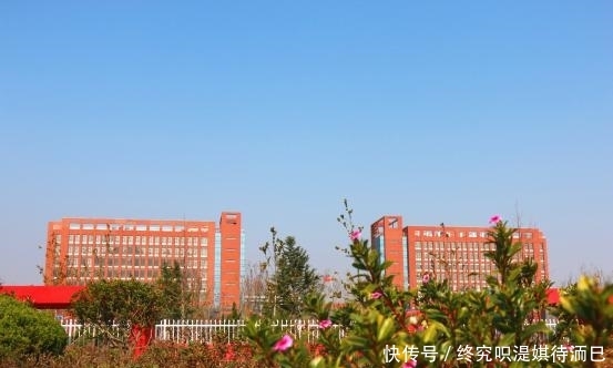 入选国家一流本科专业