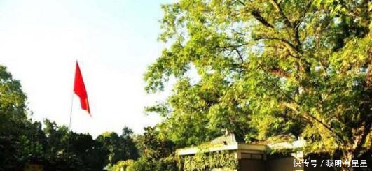 在部队中,什么级别的干部才可以住军区大院